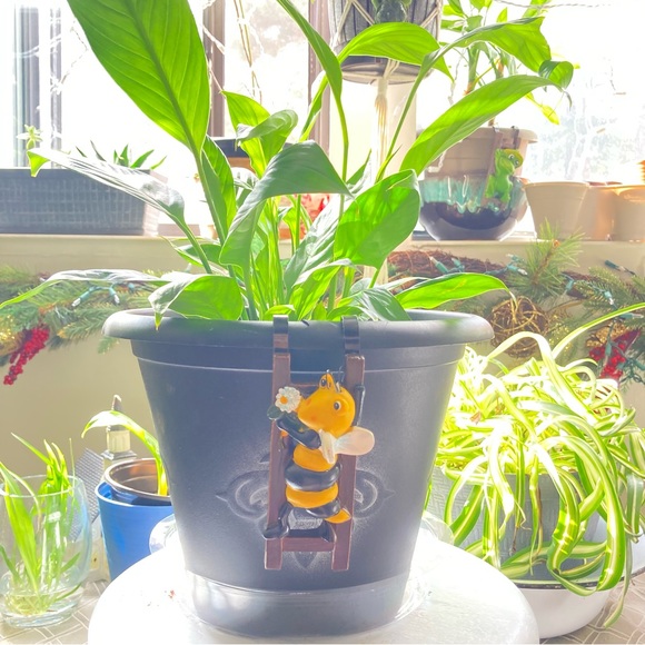 Plant pot hugger - Picture 9 of 12